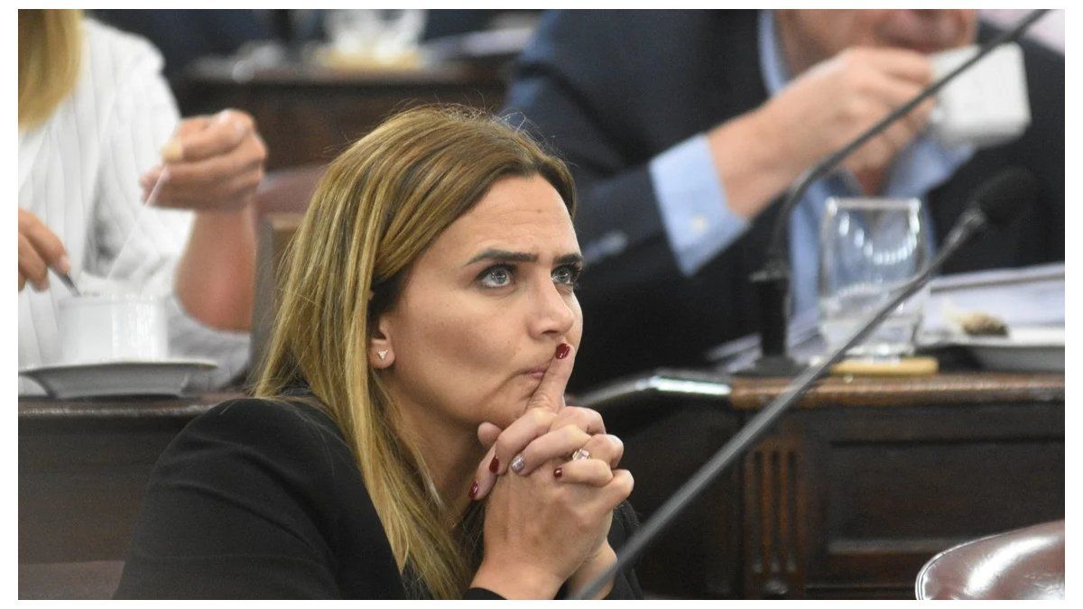 Amalia Granata Sin Piedad Apuntes A La Doble Vara Del Gobierno De Milei