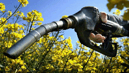 altText(Más impulso al biodiésel: Macri prorrogó las exenciones impositivas)}