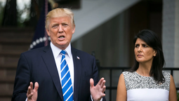 Elecciones 2024. Donald Trump luego de ganarle a Nikki Haley