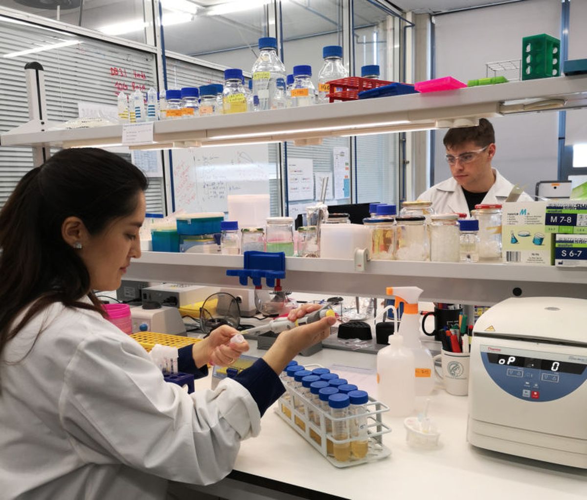 Los laboratorios de biología molecular y sintética investigan a full cómo aumentar el healthspan o la esperanza de vida con salud. Los laboratorios de biología molecular y sintética investigan a full cómo aumentar el healthspan o la esperanza de vida con salud.