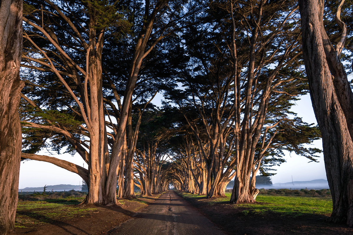 Foto: My Suitecase Journeys. Foto: My Suitecase Journeys.