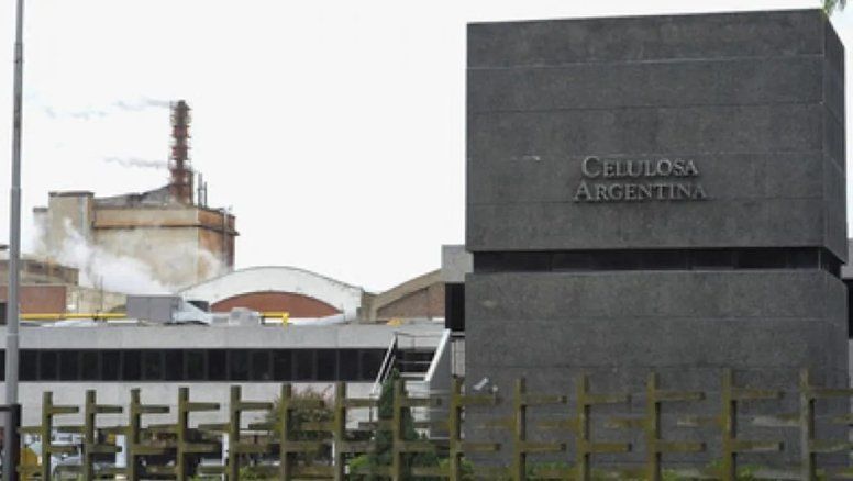 Crisis: Celulosa entra en concurso y cambia de dueño