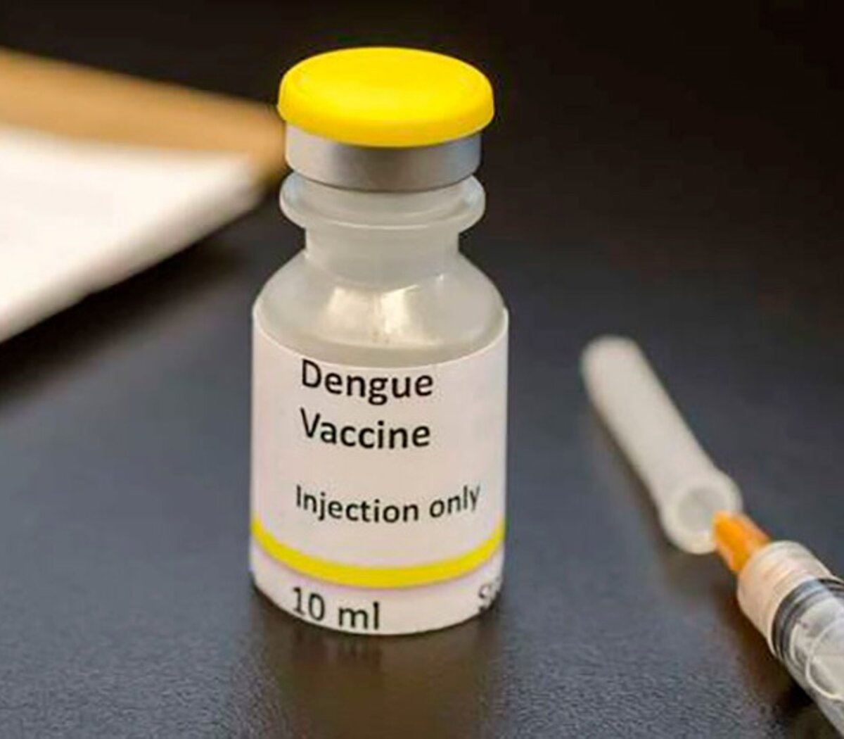La vacuna contra el dengue llegar&aacute; al pa&iacute;s en noviembre.