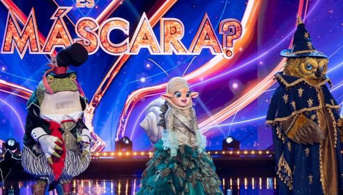 Los artistas participantes ocultan sus identidades bajo excéntricos disfraces y los jueces deben adivinar de quién se trata.