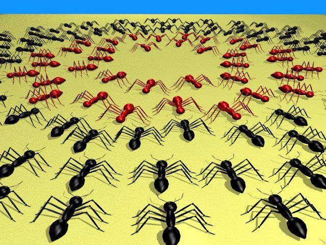 Cuando miramos un hormiguero en funcionamiento, lo primero que viene a la mente es cómo es que una sociedad de insectos consigue ser más productiva y eficiente que la nuestra. La respuesta es simple: no hay corruptos, hay reglas y son obedecidas.
