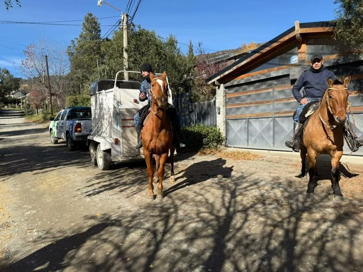 Buscan en Bariloche con agentes locales y la Policía Federal a Analía Corte, de 52 años Buscan en Bariloche con agentes locales y la Policía Federal a Analía Corte, de 52 años