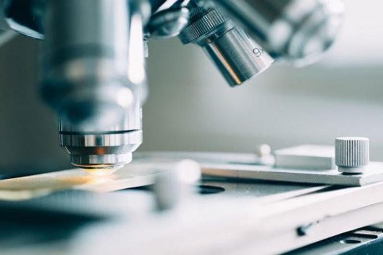 ¿Rebrote? En 2019 hubo al menos 5 casos de Chapare en La Paz, tras 15 años de no tener registro del virus.