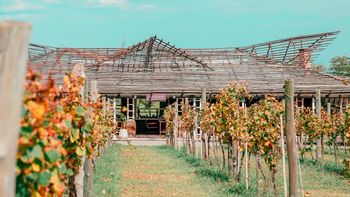 La bodega a 1 hora de Buenos Aires que todos visitan y es espectacular