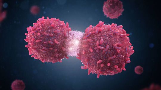 Mitos sobre el cáncer que piden desterrar. Mitos sobre el cáncer que piden desterrar.