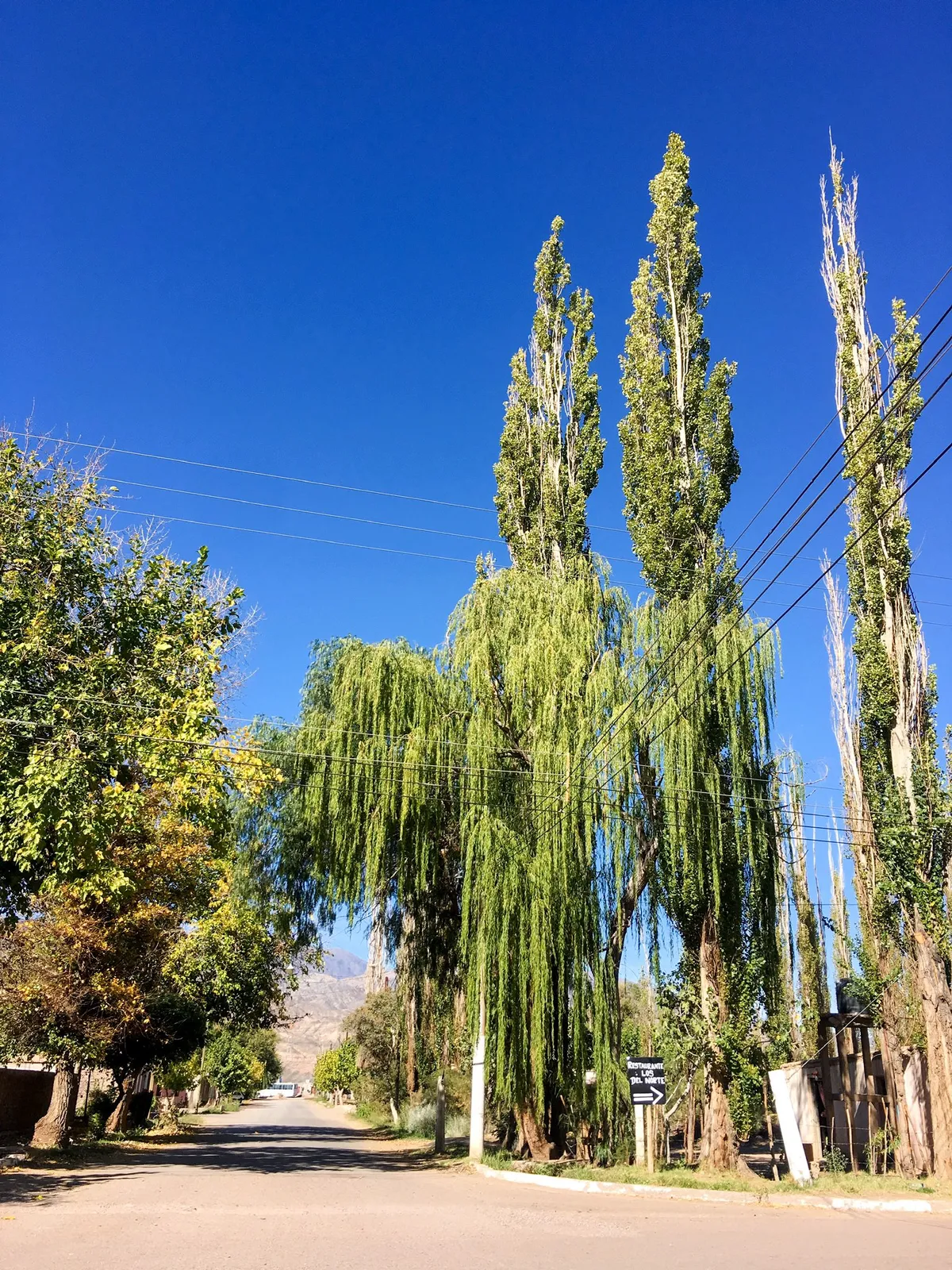 Foto: @gui10road Foto: @gui10road