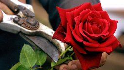 altText(Rusia debe prohibir el amor y el día de San Valentín)}