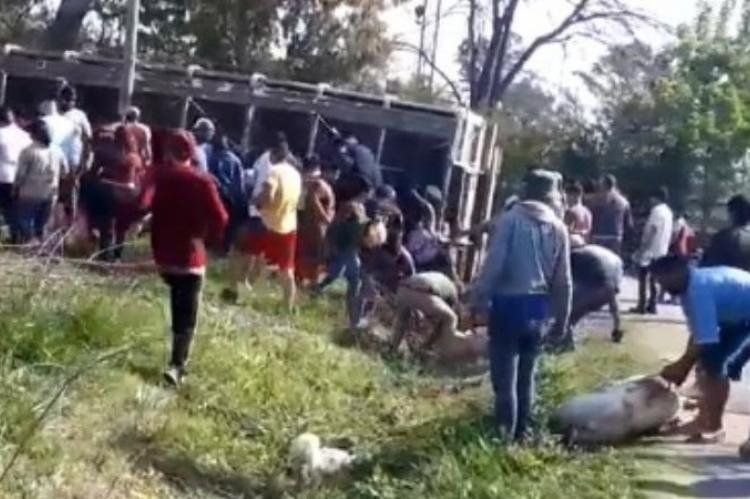 En octubre de 2020 ocurrió un saqueo similar con un camión de cerdos en el barrio El Manantial, partido bonaerense de Pilar.