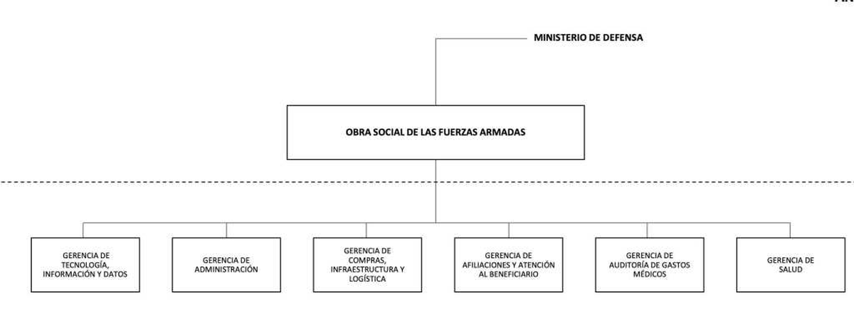 El organigrama de la OSFA según el decreto de Javier Milei. El organigrama de la OSFA según el decreto de Javier Milei.