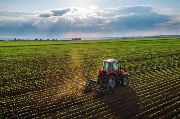 La revista Time trata de héroe al agricultor. En Argentina se lo trata de malvado especulador, plantea Distéfano
