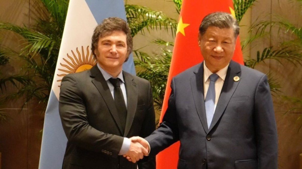 Javier Milei y Xi Jinping. Javier Milei y Xi Jinping.