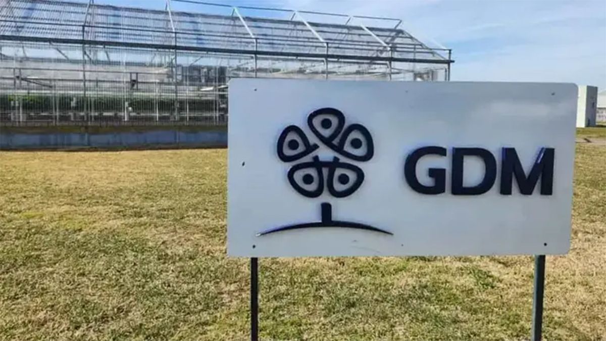 La empresa GDM anunció que financiará becas para que jóvenes de Chacabuco, Junín y Chivilcoy estudien ingeniería y tecnología en el ITBA. La empresa GDM anunció que financiará becas para que jóvenes de Chacabuco, Junín y Chivilcoy estudien ingeniería y tecnología en el ITBA.