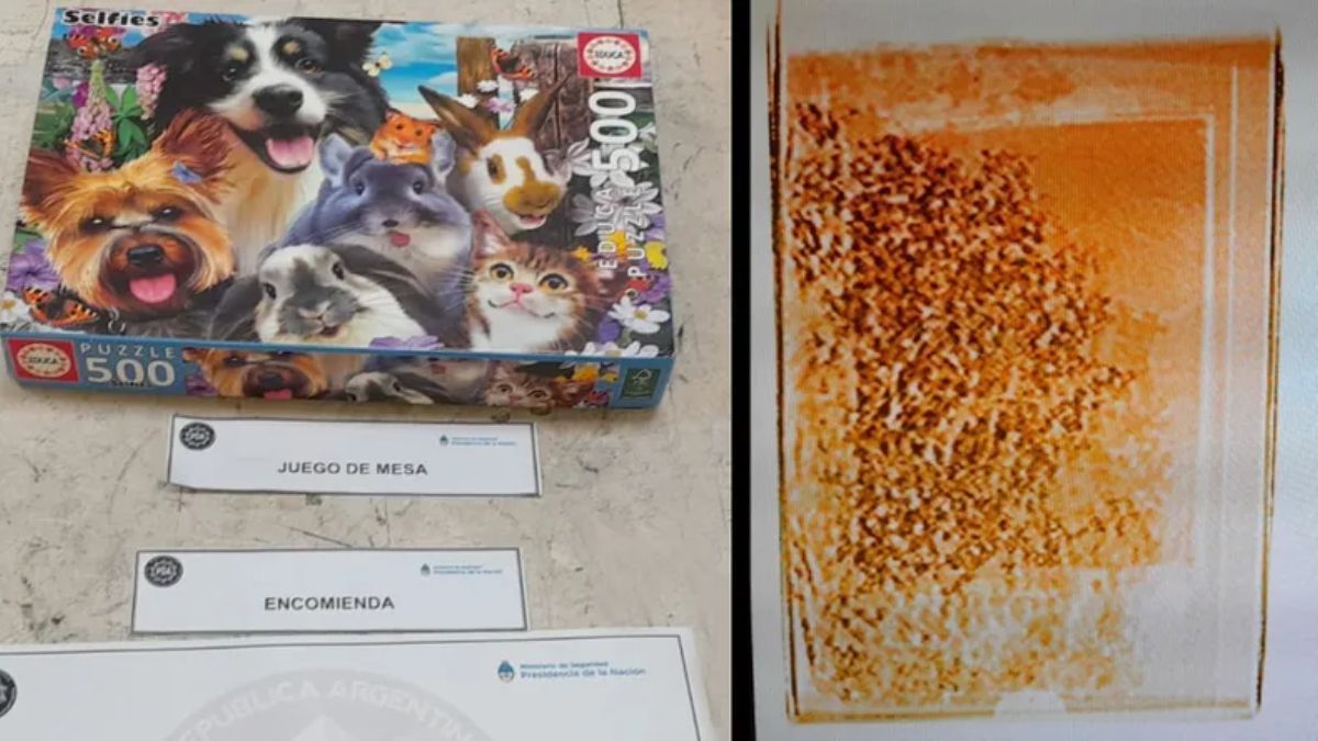La droga fue encontrada en rompecabezas