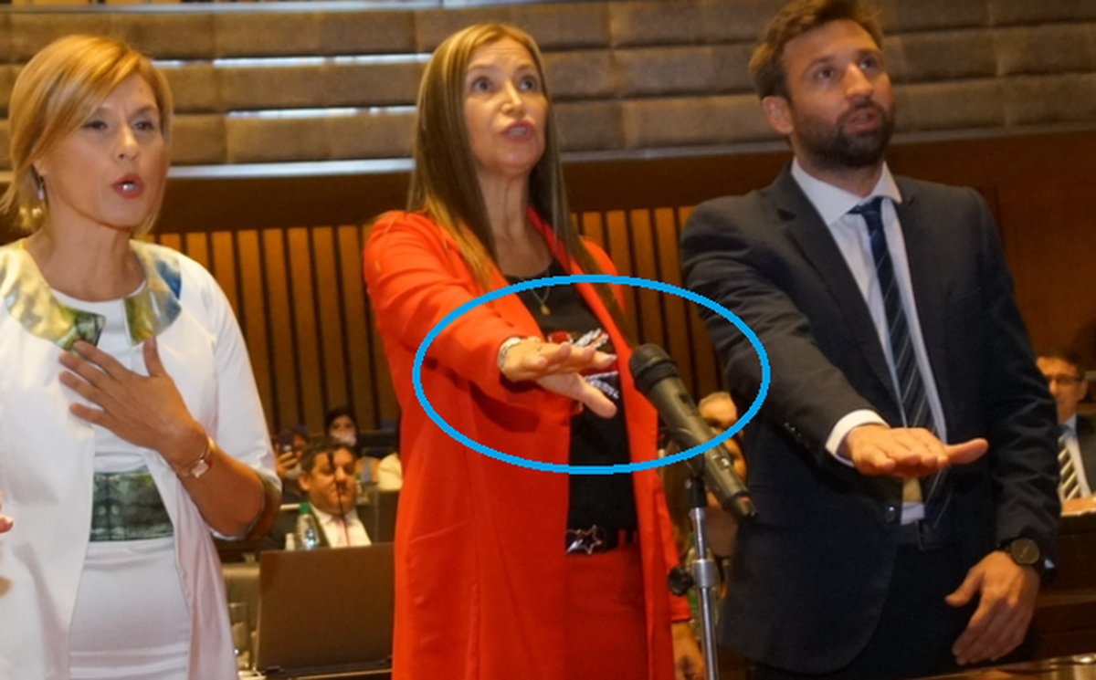 Norma Sawicz, del Frente Renovador de la Concordia, quien se desempe&ntilde;aba en el Ministerio de Derechos Humanos de la provincia de Misiones, jur&oacute; como diputada vistiendo una remera con la bandera inglesa.