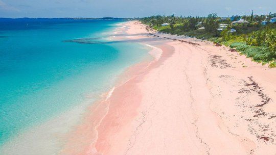 La playa de arena rosa y mar turquesa elegida como la mejor del mundo