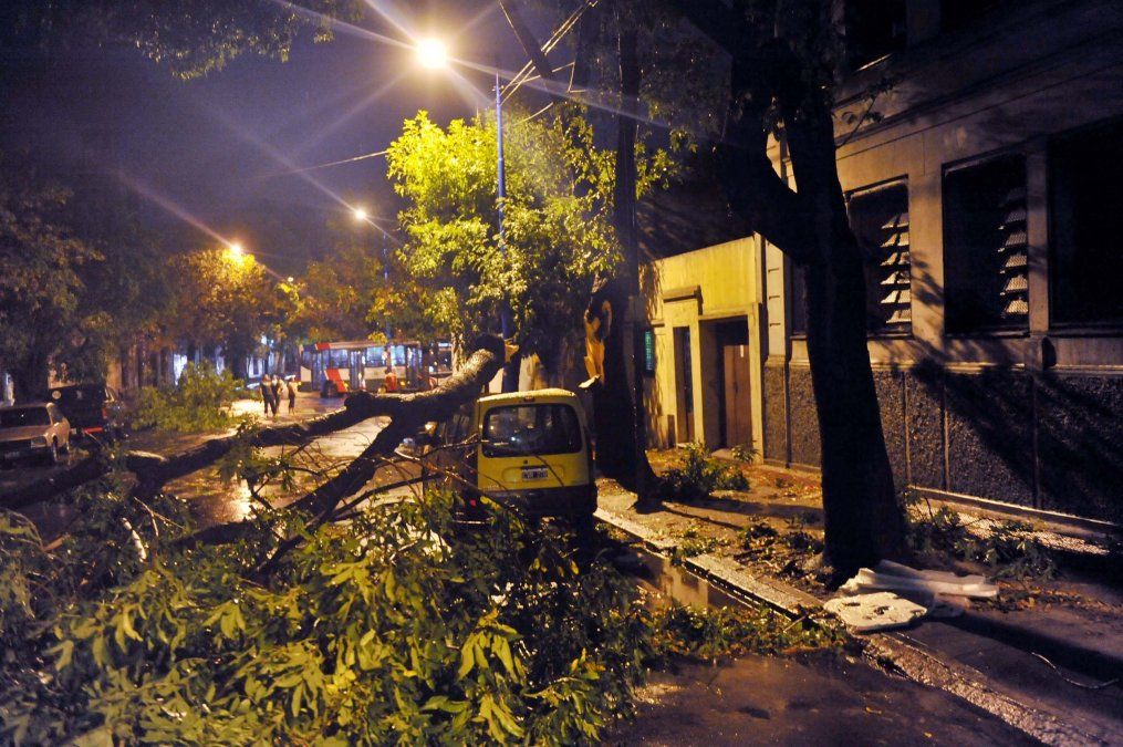 Ráfagas de viento que superaron los 90 kilómetros por hora acompañadas de granizo y precipitación generaron la caída de arboles, carteles, anegamientos, interrupción de 3 líneas de subterráneo y cortes temporarios de energía eléctrica en la ciudad y el co
