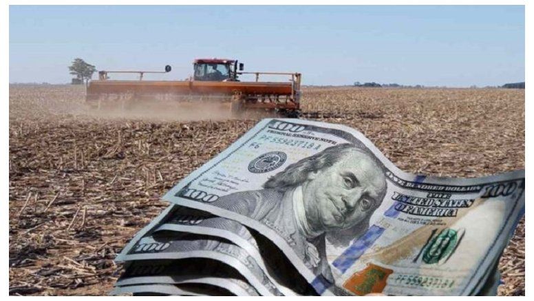 Se registró el peor ingreso de dólares del campo en 10 años y ¿sin compras del BCRA?