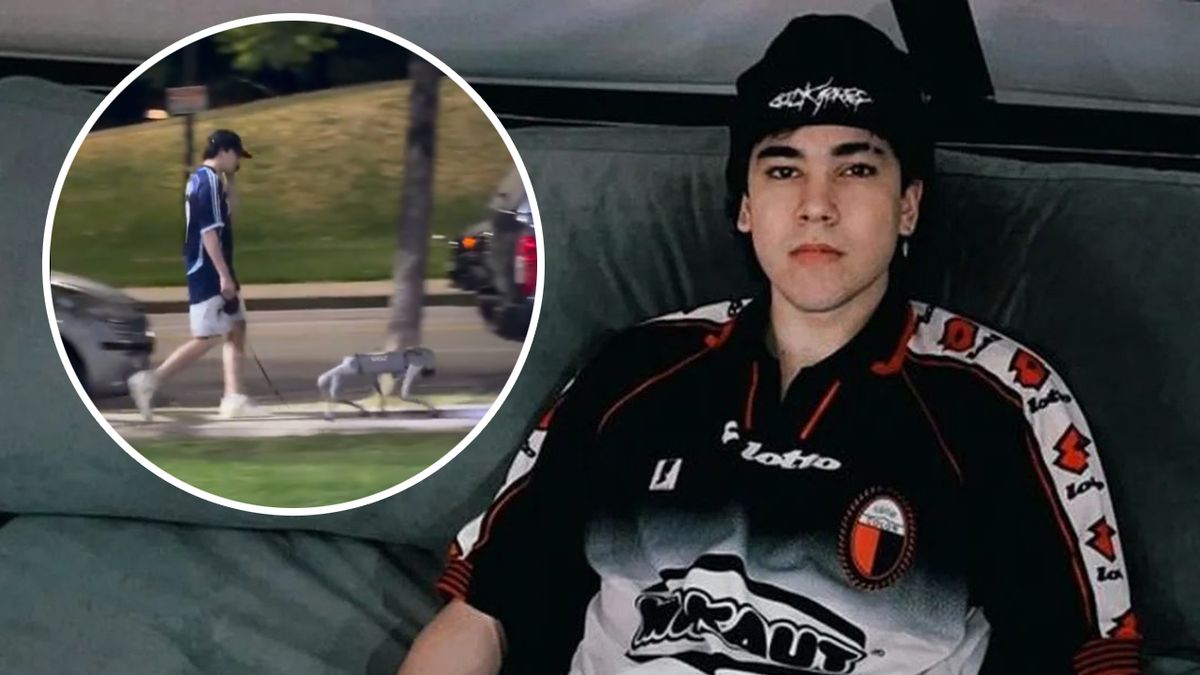 Los vecinos de Puerto Madero (y sus mascotas), en shock después de ver a Spreen pasear a su perro robot. El streamer otra vez haciendo de las suyas.