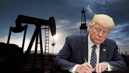 La brecha entre el mercado financiero y la realidad física: mientras los futuros de papel fluctúan, la escasez real de barriles presiona las reservas de divisas a nivel global. Trump sabe que su liderazgo político en las midterm peligra