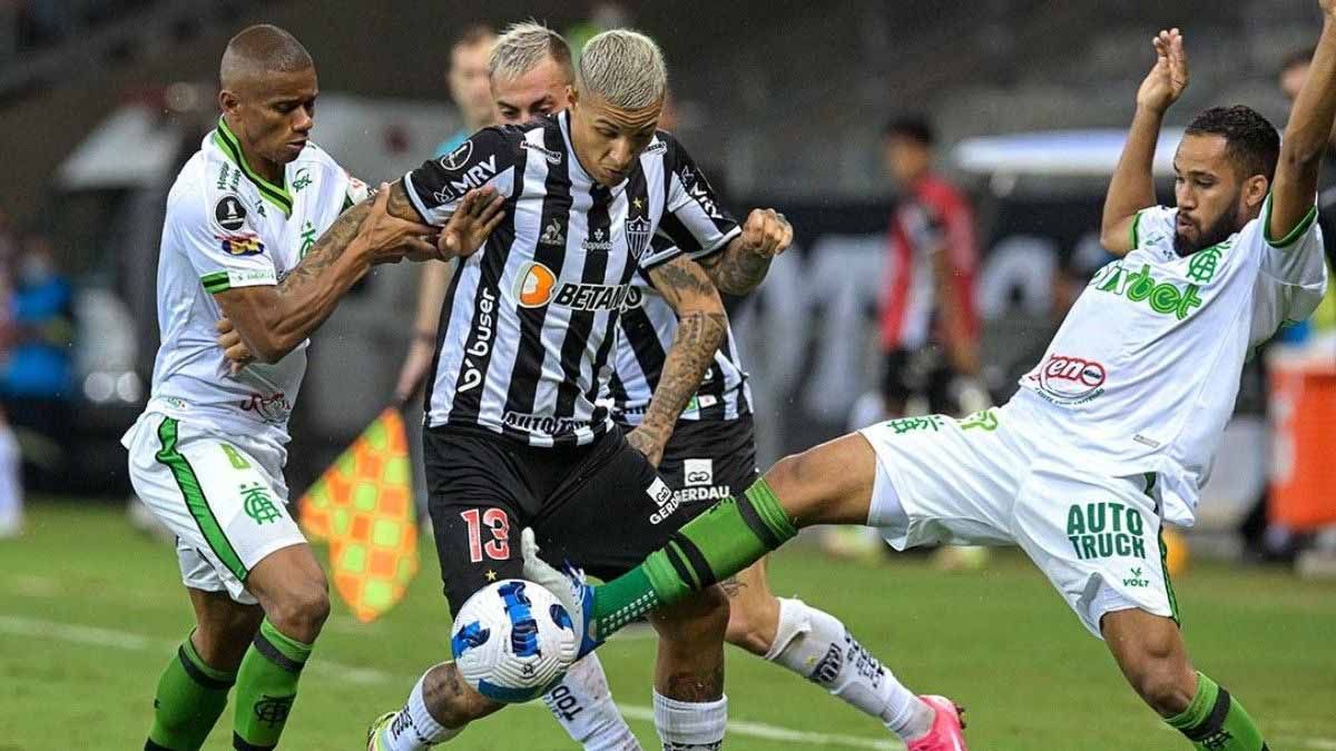 BOTAFOGOESMASLIDERQUENUNCAYSEDESPEGADELPALMEIRASFOTOPORTADA.jpg