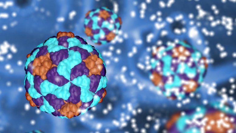 Hepatitis virales: Vacunas, antivirales y mucha ciencia contra los 5 virus