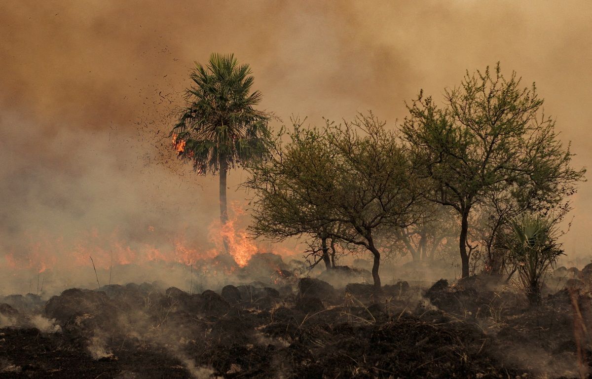 Se esperan lluvias sobre los campos correntinos arrasados por el fuego