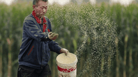 China quiere potenciar su producción agrícola, en particular la de soja. China quiere potenciar su producción agrícola, en particular la de soja.