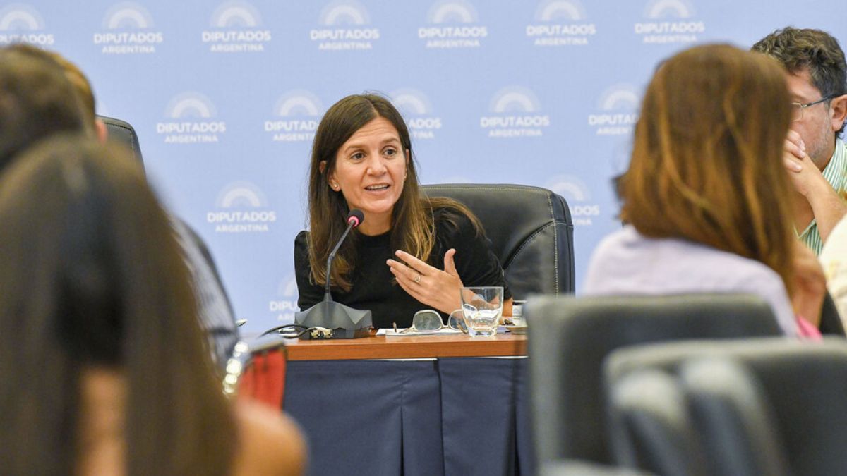 Fernanda Raverta durante la exposición en la Comisión de Previsión y Seguridad Social (Foto: Télam)