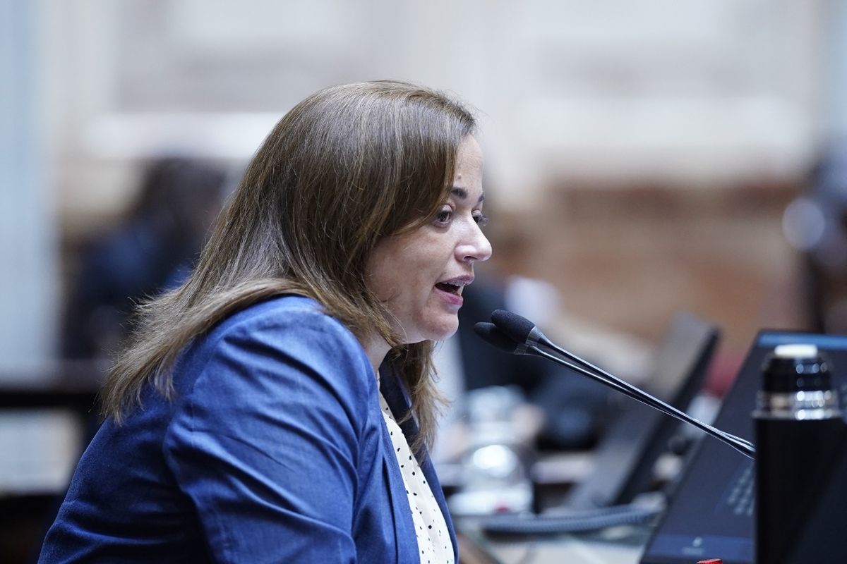 La presidente de la Cámara de Diputados, la massista Cecilia Moreau. La presidente de la Cámara de Diputados, la massista Cecilia Moreau. 
