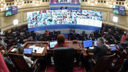 altText(Comenzó en el Senado la 1ra sesión virtual de su historia)}