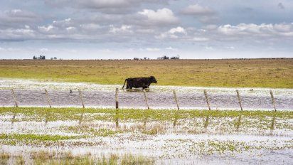 Tiemblan el campo y el BCRA: Tras sequía, arrancó El Niño