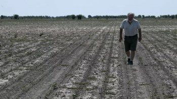 Los productores agrícolas de Santa Fe sufren por la sequía histórica que sufre la provincia. Los productores agrícolas de Santa Fe sufren por la sequía histórica que sufre la provincia.