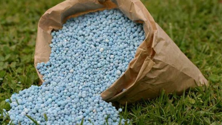 USA, Rusia, UE: En el periodismo también hay desinformados