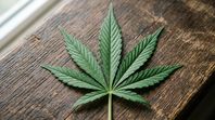 El cannabis y el CBD son más utilizados por los adultos jóvenes como alternativa para el insomnio.