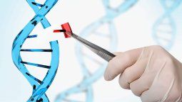 El impacto de las terapias génicas en la Atrofia Muscular Espinal. &nbsp;