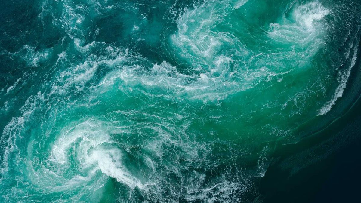 ¿Qué otras criaturas ocultará el mar? ¿Qué otras criaturas ocultará el mar?