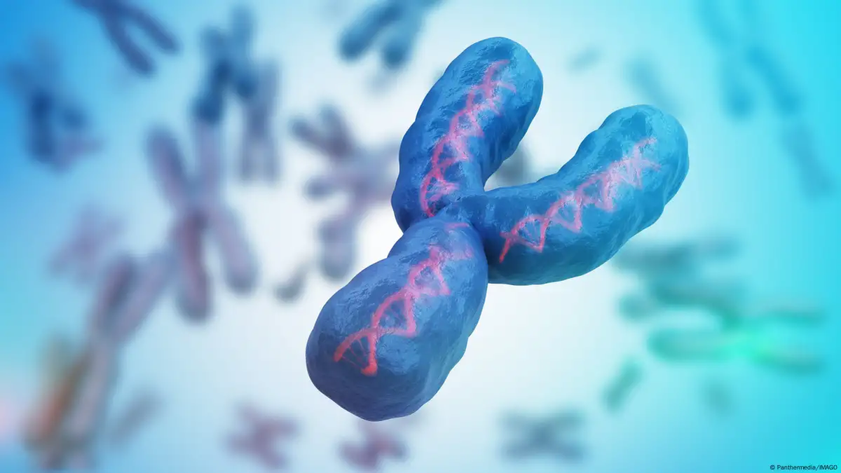 El cromosoma Y está desapareciendo, según la ciencia. El cromosoma Y está desapareciendo, según la ciencia.