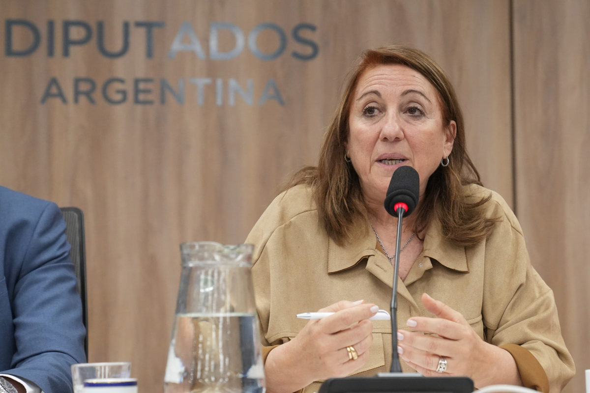 Presidido por Mónica Fein, el encuentro se realizará con el propósito de generar una "conciencia colectiva" ante la mayor crisis sanitaria del país y avanzar en medidas para mejorar el control y la trazabilidad de los medicamentos. Presidido por Mónica Fein, el encuentro se realizará con el propósito de generar una "conciencia colectiva" ante la mayor crisis sanitaria del país y avanzar en medidas para mejorar el control y la trazabilidad de los medicamentos.