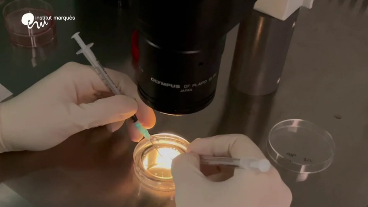 Un gigantesco avance para la ciencia y el ser humano. Un gigantesco avance para la ciencia y el ser humano.