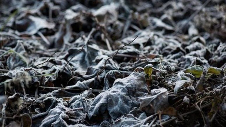 La ola polar puede provocar una 