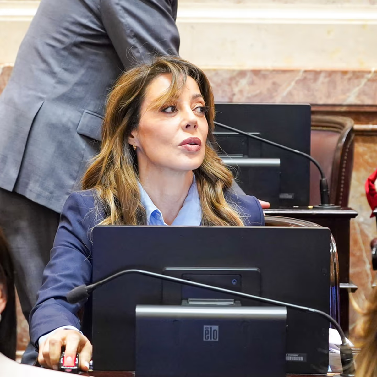 Flavia Royón, presidenta de la Comisión de Energía del Senado Flavia Royón, presidenta de la Comisión de Energía del Senado