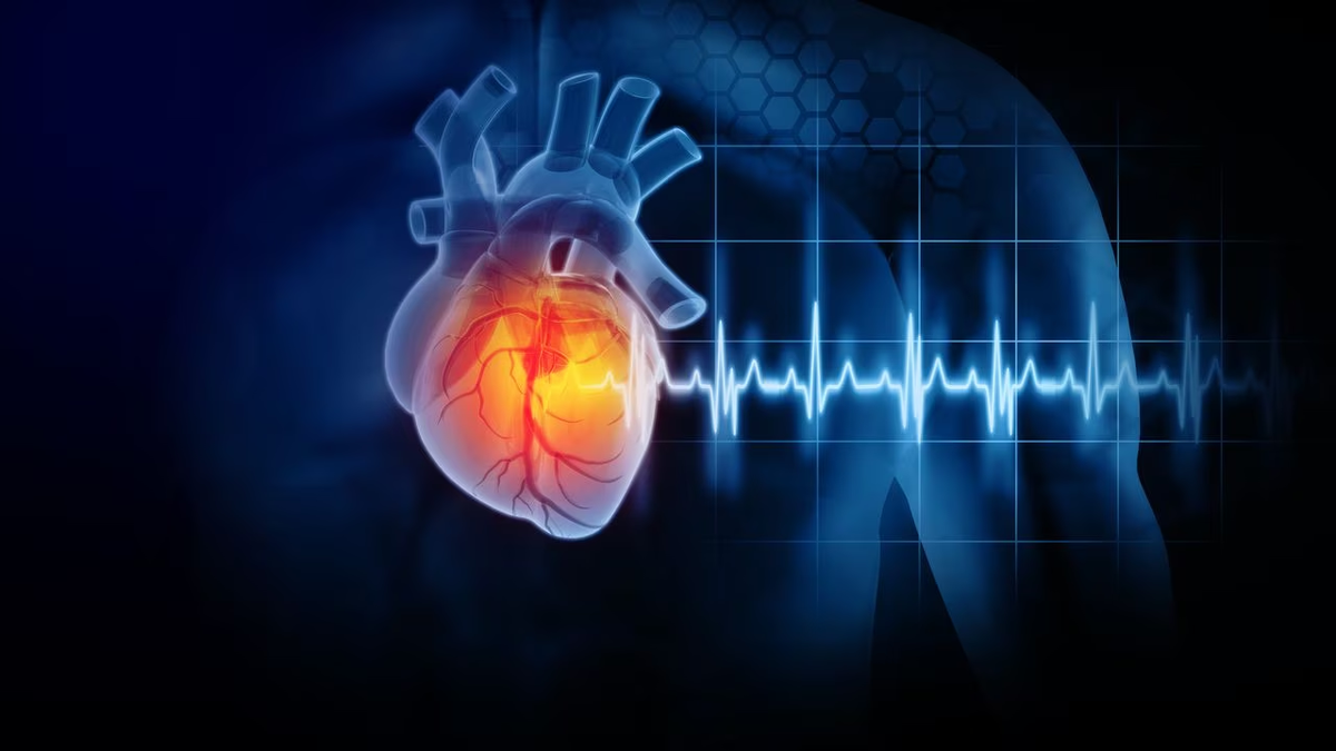 Este superalimentos beneficia al corazón. Este superalimentos beneficia al corazón.