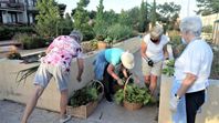 Cohousing ¿por qué no en la Argentina? Cohousing ¿por qué no en la Argentina?
