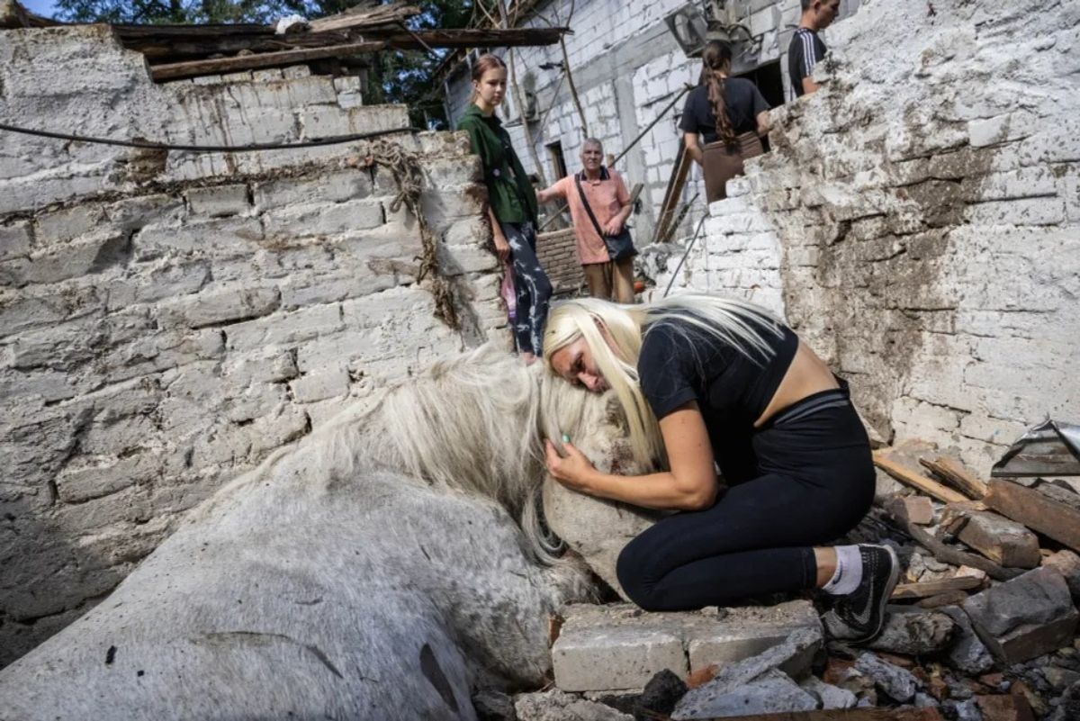 Las mejores fotos de Europa según World Press Photo.
