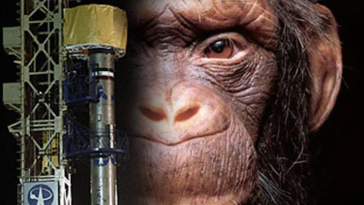 Post: Irán planea enviar mono 'astronauta' al espacio este año