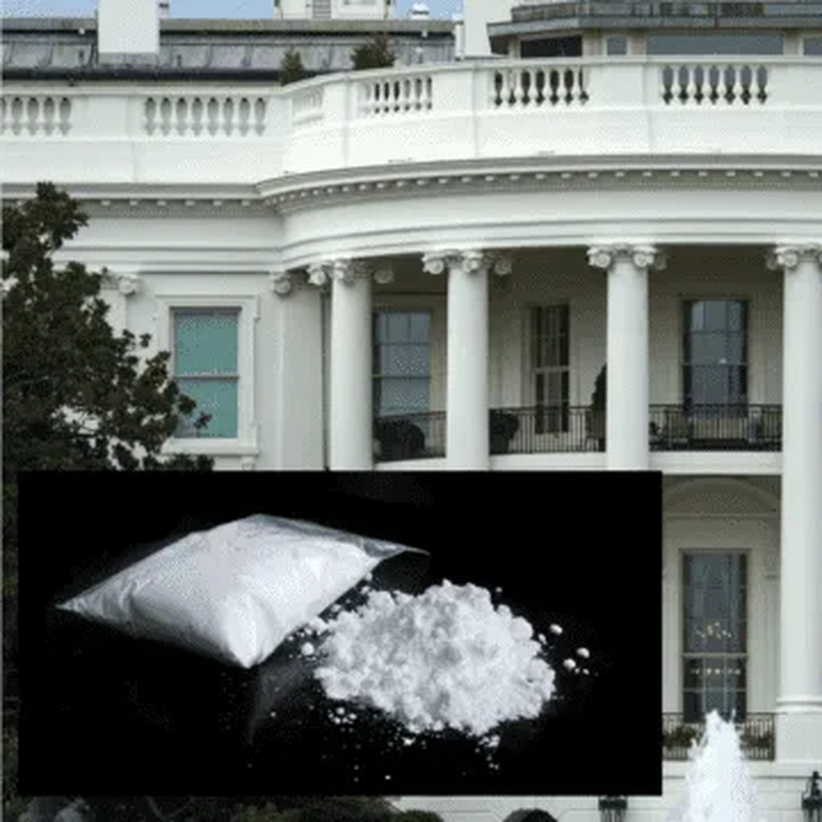 La Casa Blanca en alerta por hallazgo de cocaína en sus interiores.
